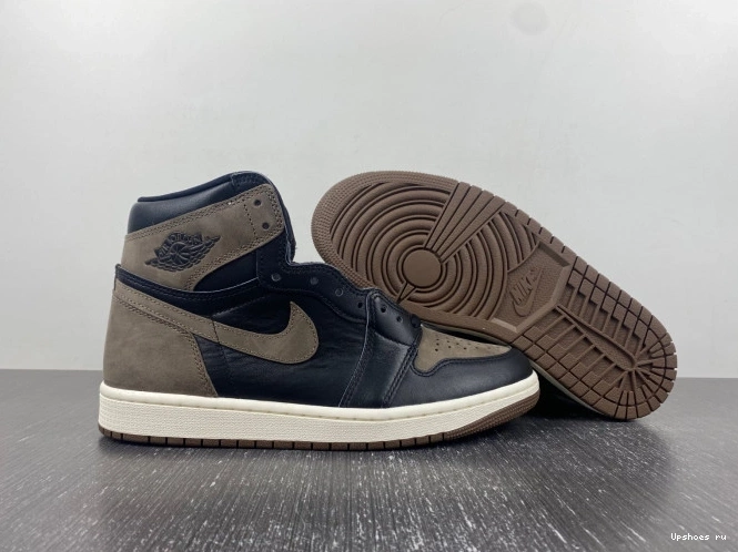 Palomino Jordan Retro DZ5485-020  OG  1  High 0808